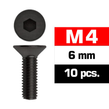 M4x6mm FLAT HEAD SCREWS (10 pcs)
