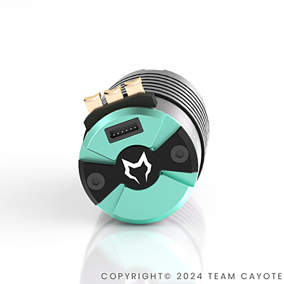 CAYOTE Racing 1/8 CREST 4268 1900KV Brushless Motor - Image 4